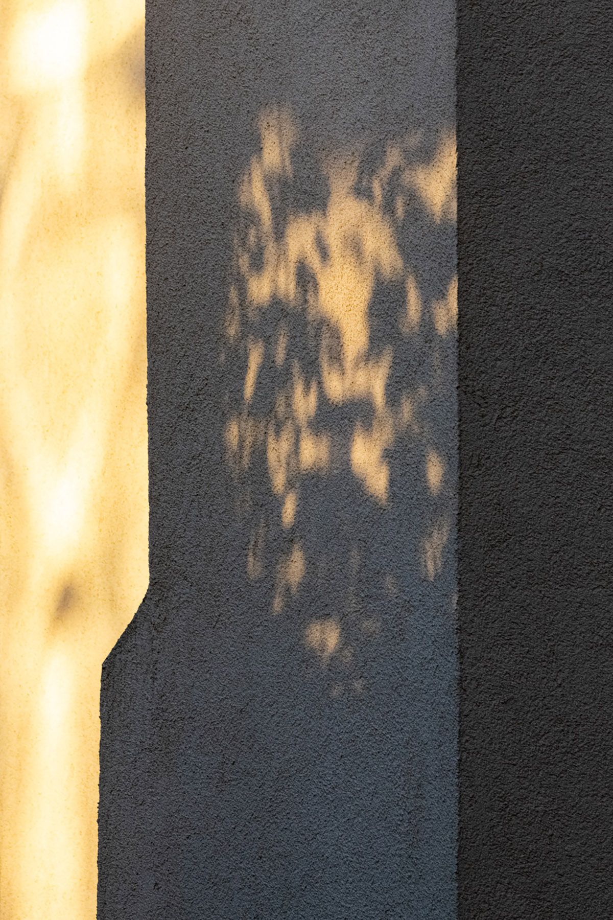 Maarten Rots, Espace Enny, Untitled (Donaueschingen, 2021-1)