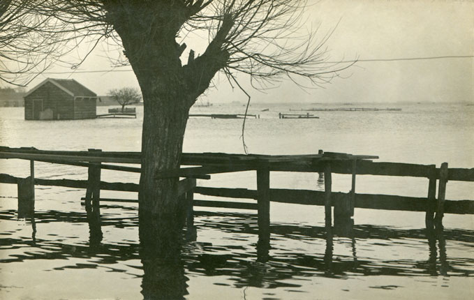 Fa. Nieuwstad, Zuiddijk Zaandam, collectie J.D. Laureys