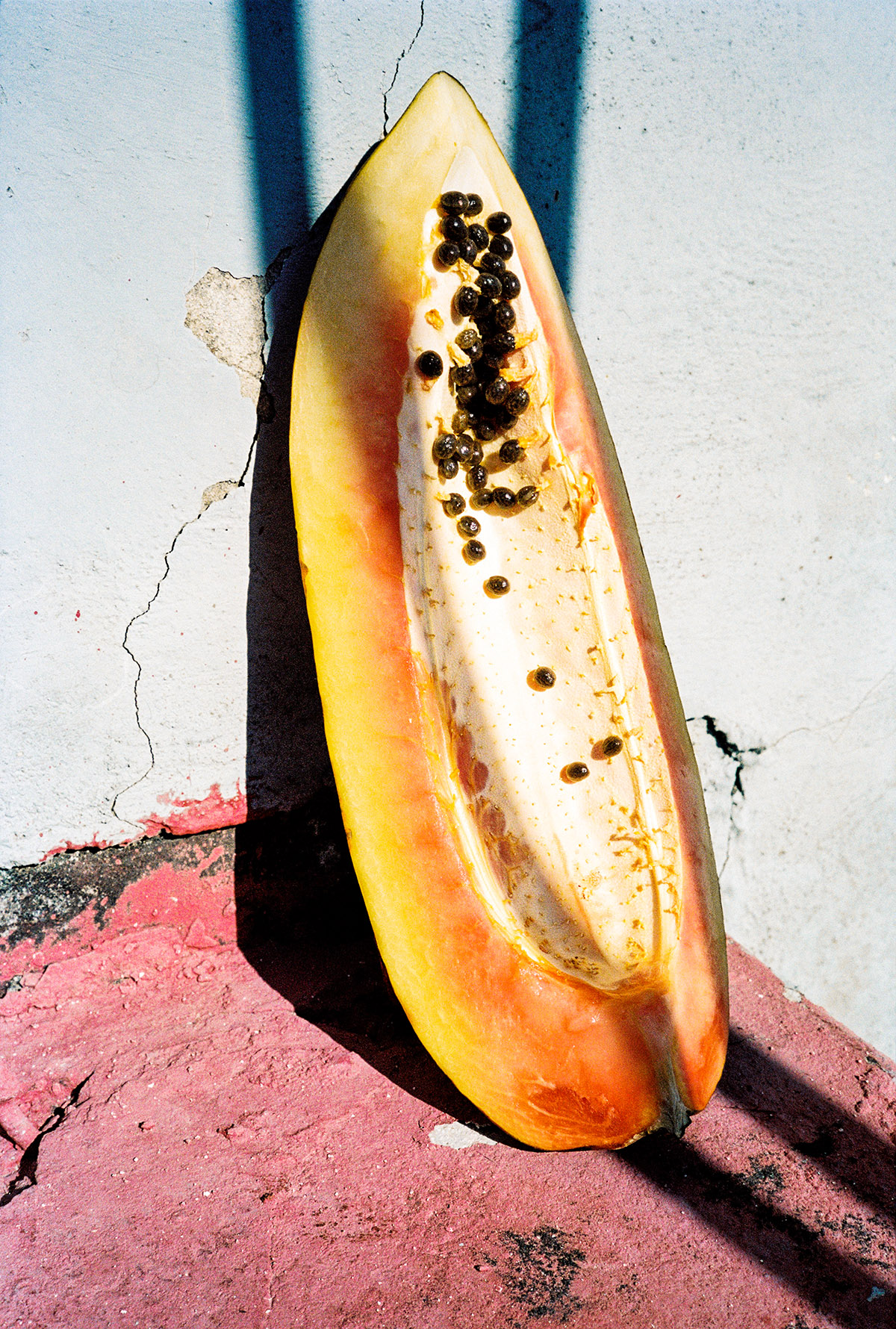 Vincent Delbrouck, Papaya, from the series Champú, 2020