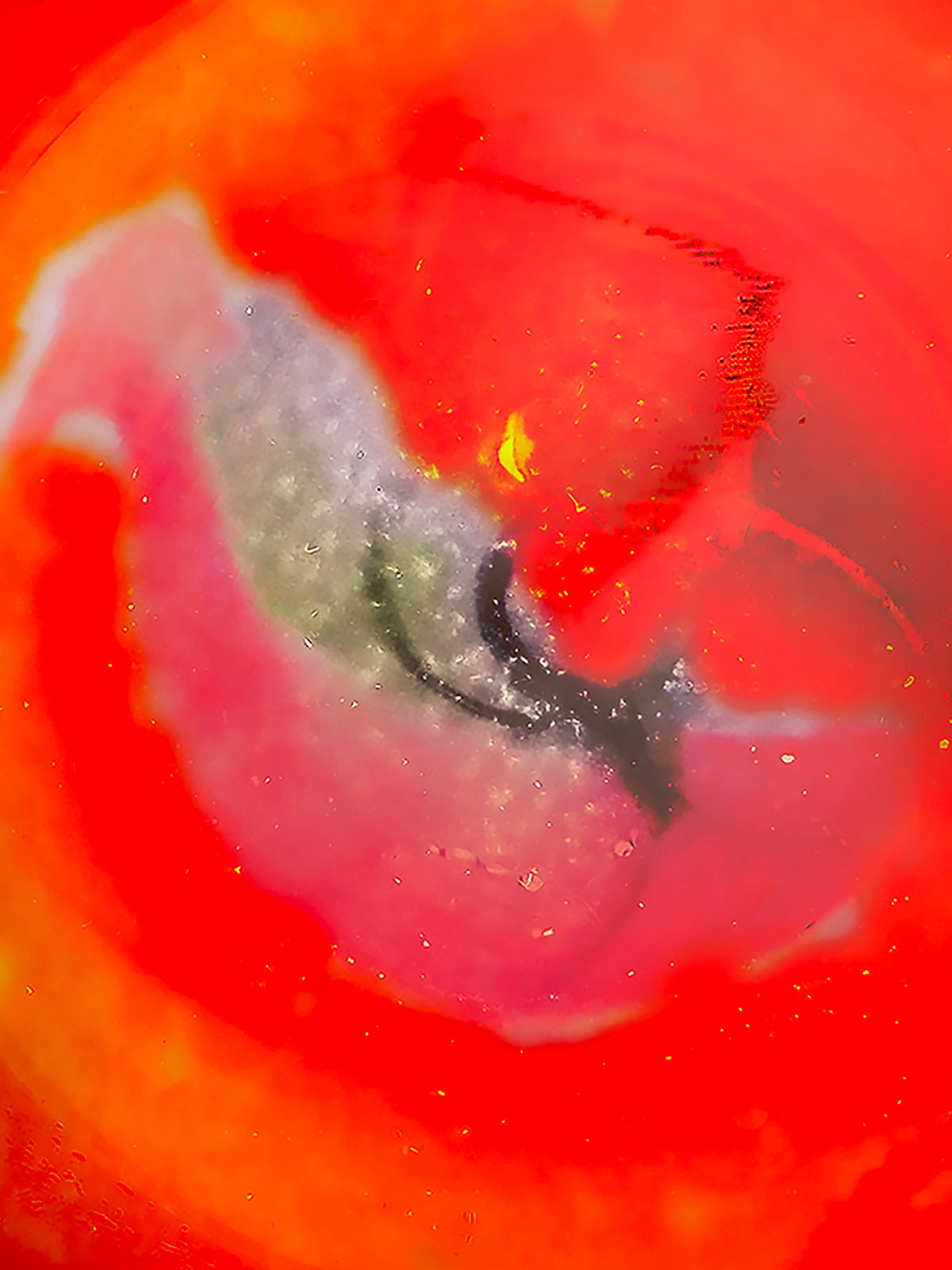 Linda Grool, Virum Ignotum