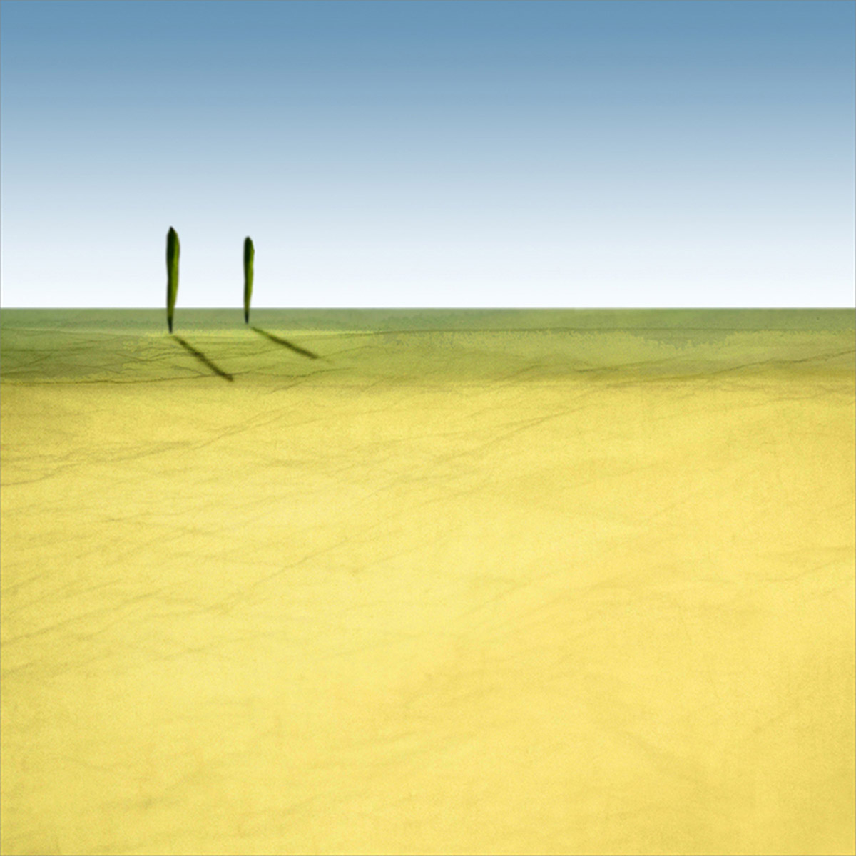 Landschappen