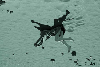 Viviane Sassen