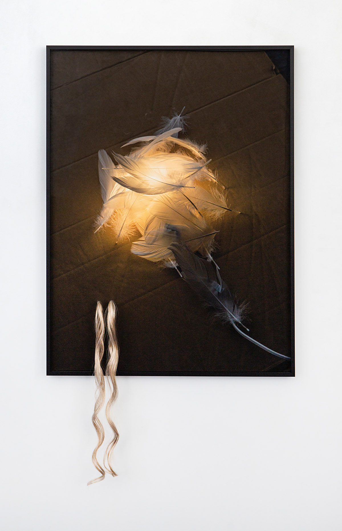Vytautas Kumža, Soft light, 2022