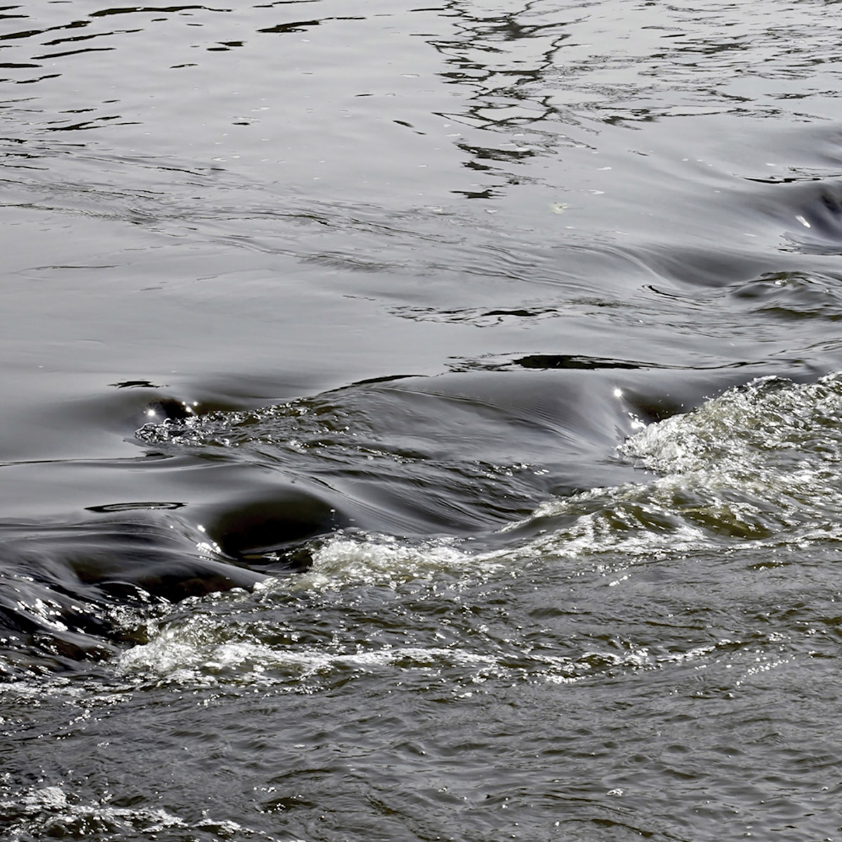 Wijnanda van den Boogaard