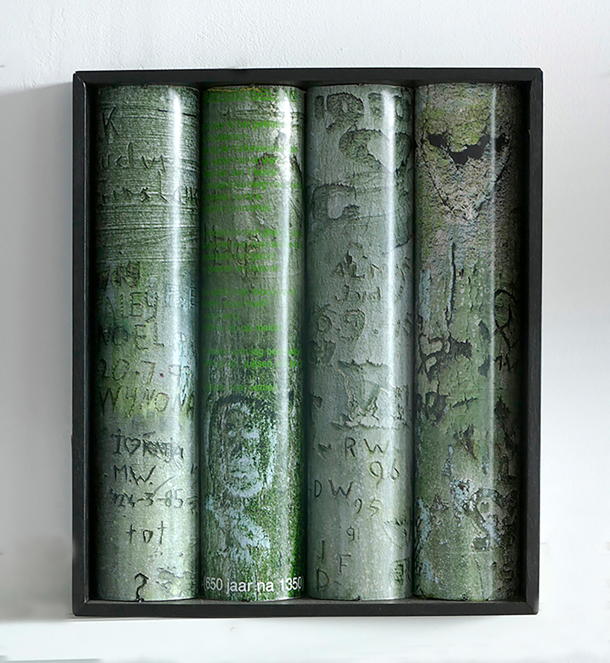 Pim Westerweel, Valkeveenselaan, Naarden - 2000, Beukenbomen met 'boomkerven', Chromogenic Prints gemonteerd in, 50x43 cm baklijst, Ed. 2/3 - 650 euro, Ed. 3/3 86x82 cm - 1200