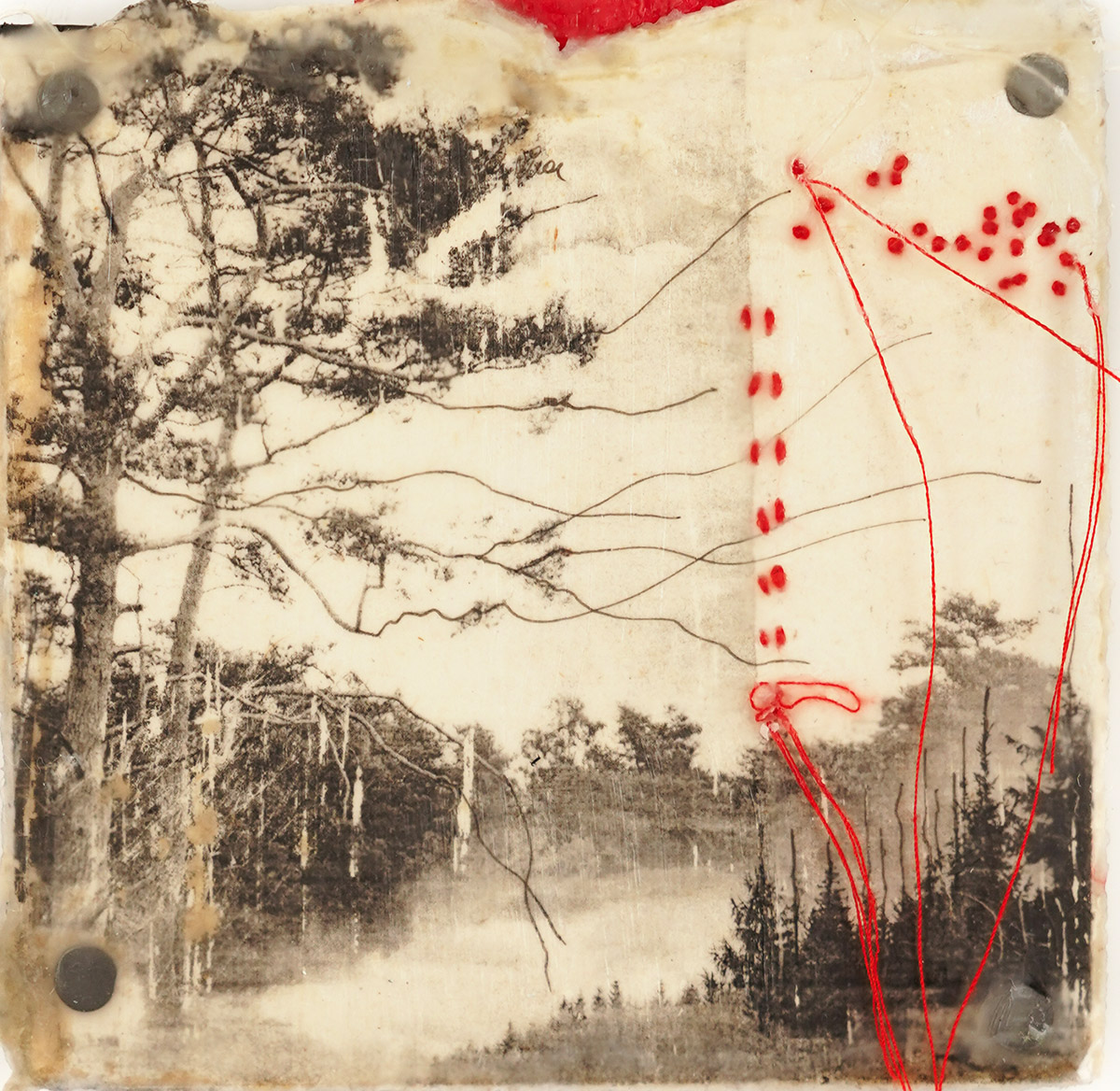 Jackie Mulder, Thought Trails