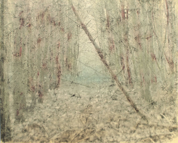 Wil Friesen