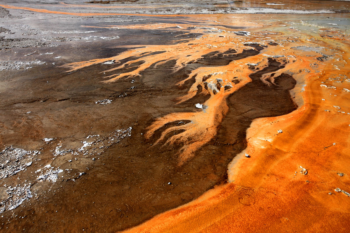 Wim van Passel, Yellowstone: de pracht en kracht van Moeder Natuur
