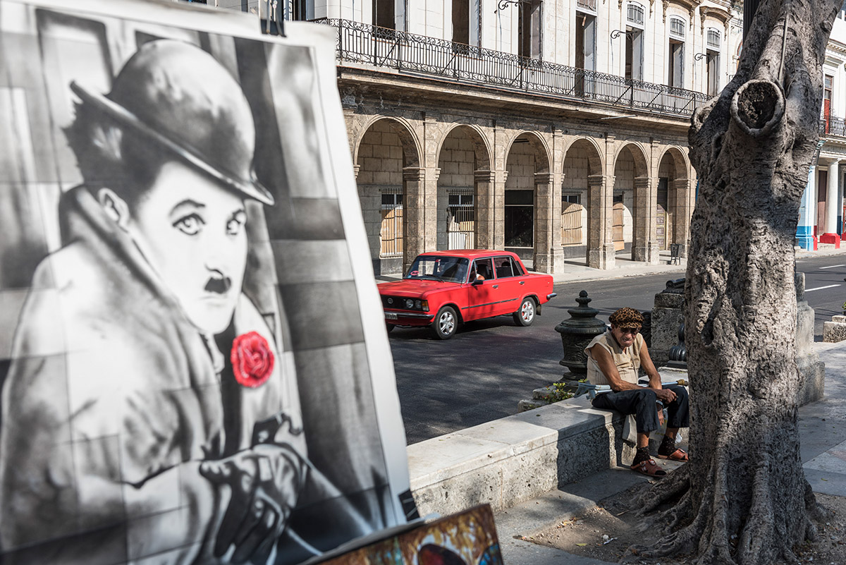 Eddy Verloes, Red Rose of Havana