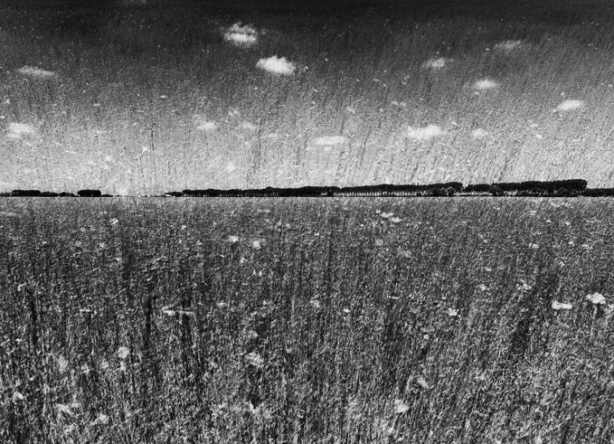 Zeeuws landschap