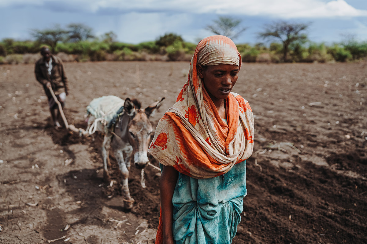 Dehab Kiran, Oromia, Ethiopië<br>
Lieuwe Siebe de Jong - 2022<br>
Dit lijkt misschien een gewone foto, maar voor de Ethiopiërs in Oromia is het een heel ongewoon tafereel. Dieren hebben een duidelijke rolverdeling: met ezels haal je water en met koeien ploeg je. Dehab Kiran is door de droogte al haar koeien kwijtgeraakt en moet nu met haar ezel ploegen. Dit is veel arbeidsintensiever, omdat er twee mensen voor nodig zijn. En als de ezel aan het ploegen is, kan er geen water gehaald worden.