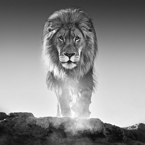 David Yarrow, The Old Testament