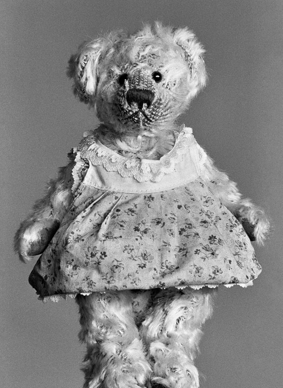Helena van der Kraan, Beer & Teddy