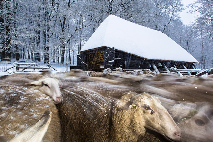 David Peskens, één van de eerdere fotografen die de beurs heeft ontvangen.
