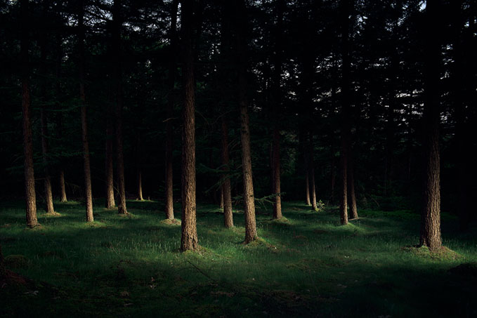 Iris Hartman, Connected uit de serie The Remedy, 2018