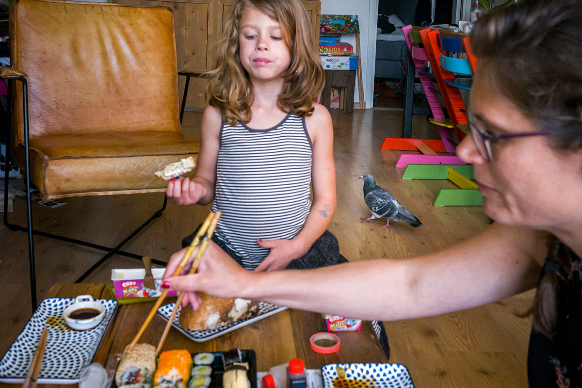 Nominatie voor de categorie Nature voor Jasper Doest, Pandemic Pigeons - A Love Story