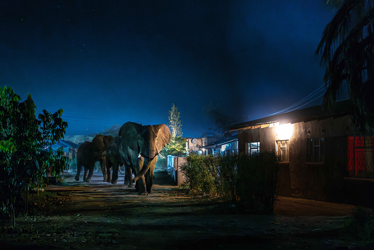 Jasper Doest,In de weg van de Olifant, 2023, ZCKE